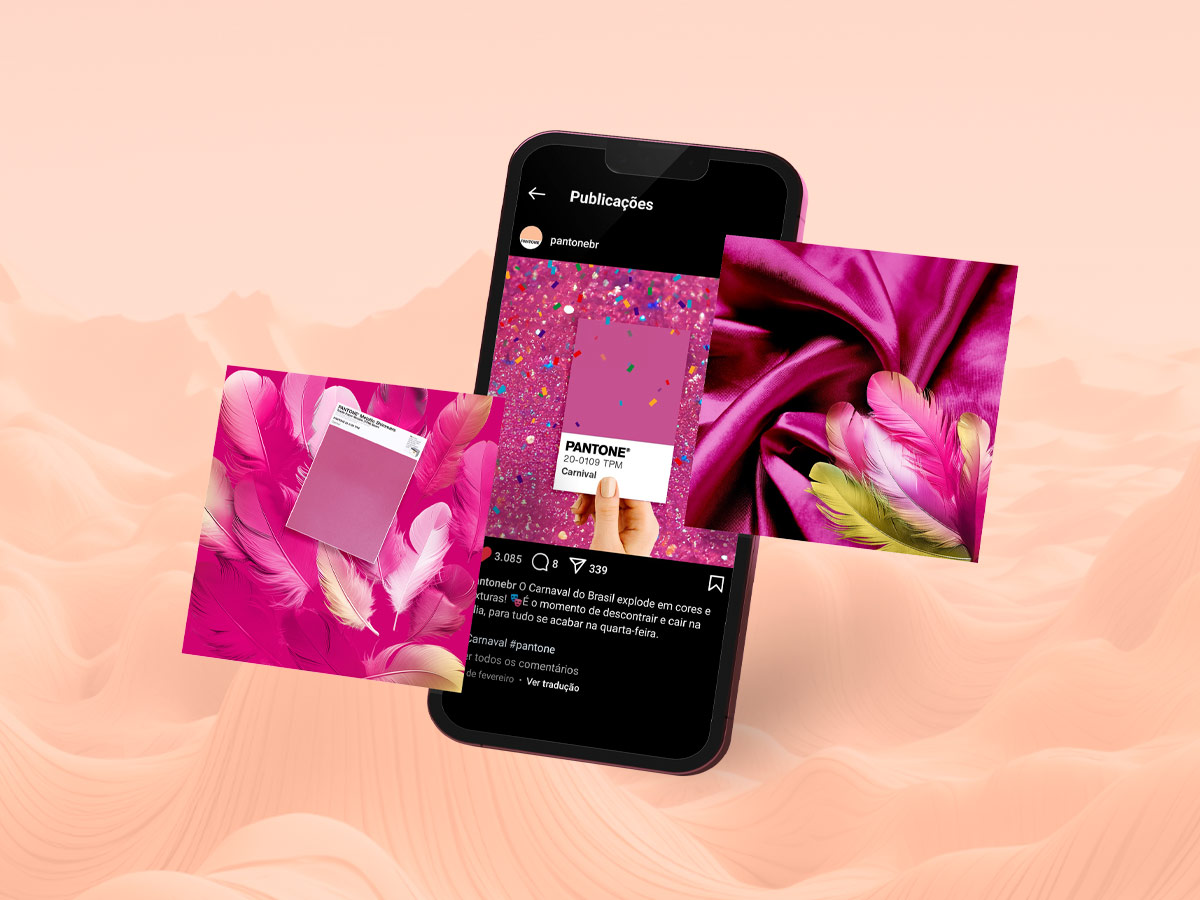 Redes sociais de Fevereiro - Pantone Brasil